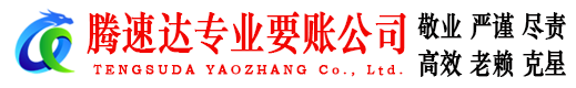 定南要债公司